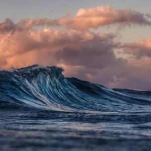 Mare…