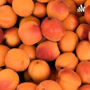 你是否曾遇见夜空中最亮的星