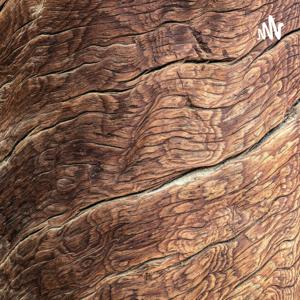 我输给了你想要的幸福