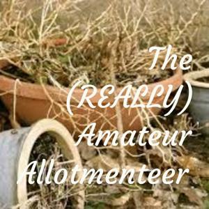 The (REALLY) Amateur Allotment