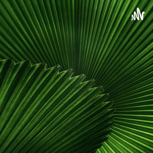 没关系,你只是爱错了人