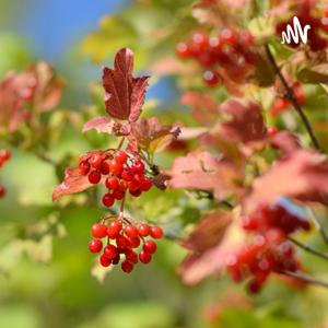 你知道我在想你吗