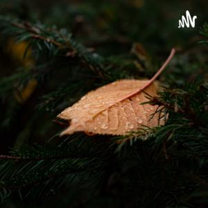 一个愿意让着你的人