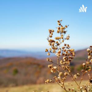 一个人爱不爱你