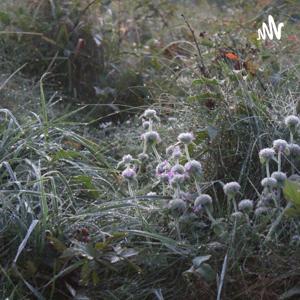 珍惜那个说想念你的人