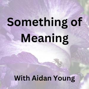 Something of Meaning with Aidan Young