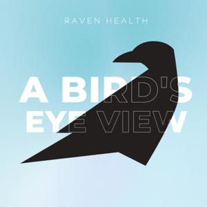 A Bird's Eye View