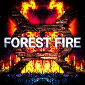 The Forest Fire