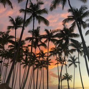 All For the Love Of…