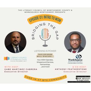 Bridging the Gap: Podcast