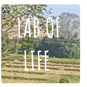 Lab of life