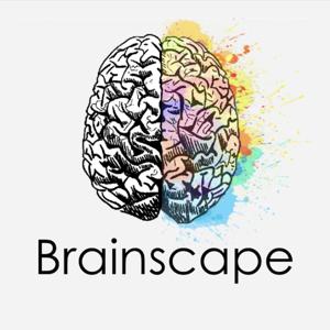 Brainscape