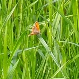 100 secondi a mezzanotte