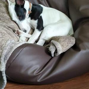 buzzgoblin 3Speak Podcast