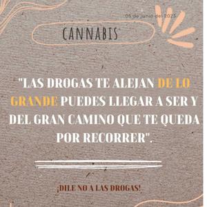 cannabis informatica