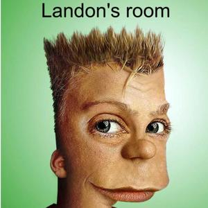 Landon's Room