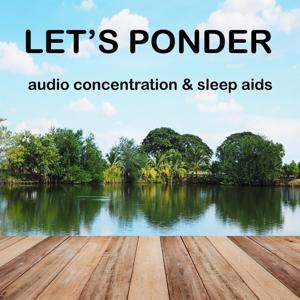 PONDER.FM