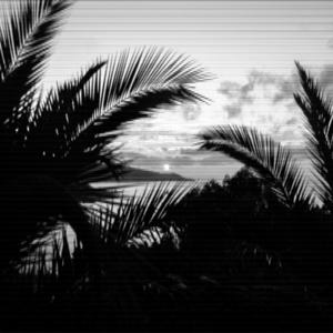 NHS Media Communications