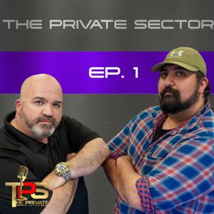 The Private Sector