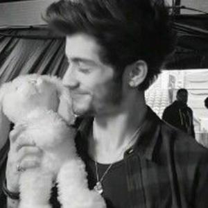 zaynsinterlude