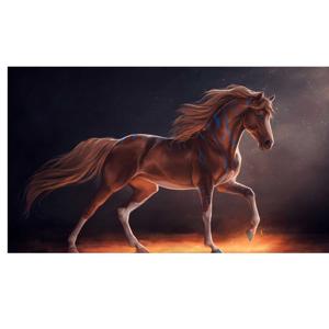 HABLEMOS DEL PASO FINO COLOMBIANO