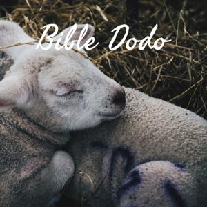 Bible Dodo😴
