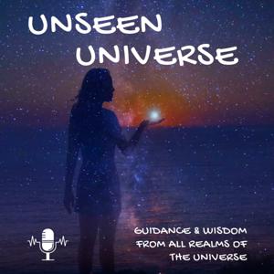 Unseen Universe