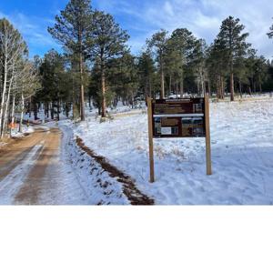 The Healthy Forests Podcast