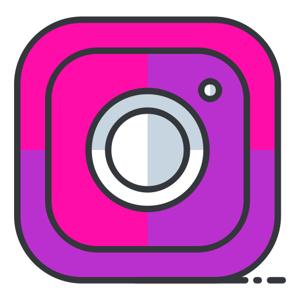 Snapinsta.app Snapins