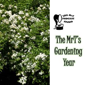 MrT's Gardening Year