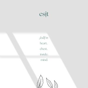 Esit