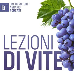 Lezioni di Vite
