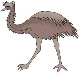 Young Dark Emu - James, Alfie and Ceilim