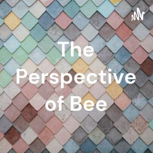 The Perspective of Bee