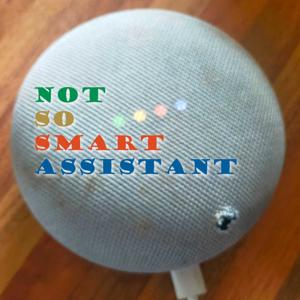 Not So Smart Assistant