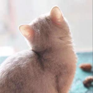 魔豆的英语日常