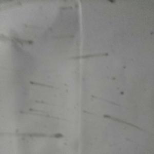 Asesinos seriales EPO324