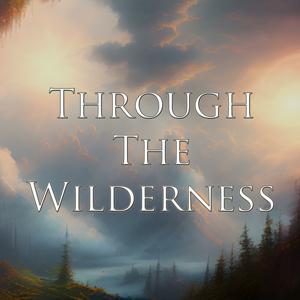 Through The Wilderness
