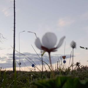 Vaarat – kaupungin rajalla