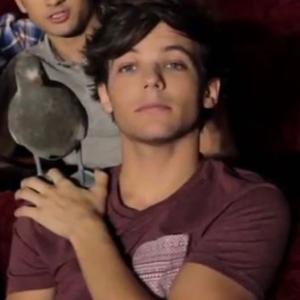 kevin the pigeon’s playlist