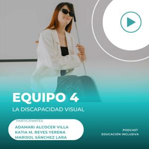 La discapacidad visual