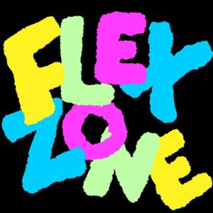 The Flex Zone