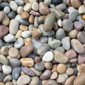 what does RS Know Anyway?