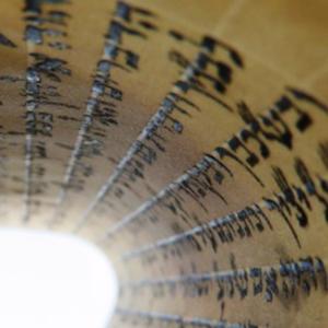 The Light of the Torah