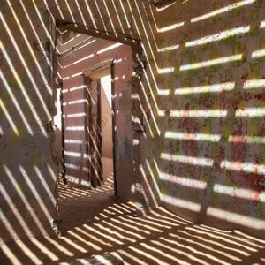 The Lifelong Learner