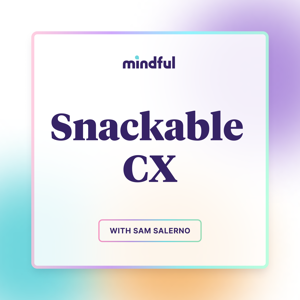 Snackable CX (Podcast)