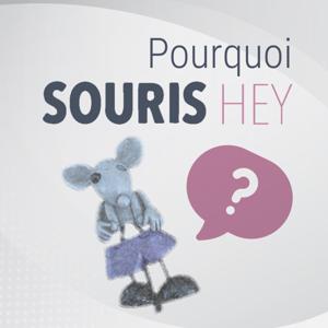 Pourquoi Souris Hey?