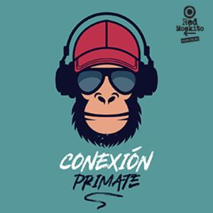 Conexión Primate