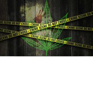 Stoned Zone