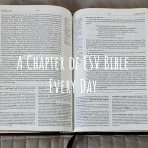 A Chapter of ESV Bible Every Day